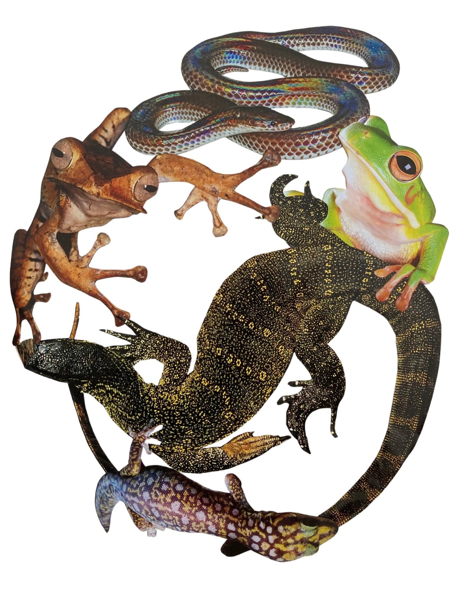Framed Original - Reptilian Brain