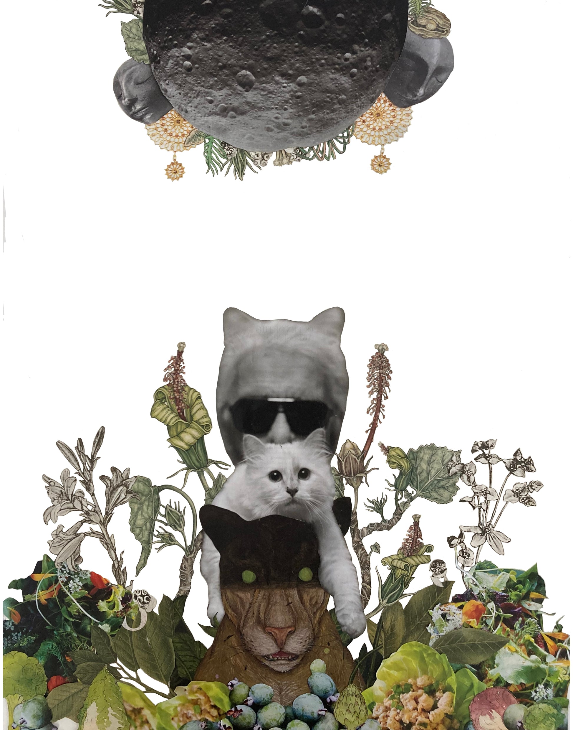 Postcard - Yowling at the Moon